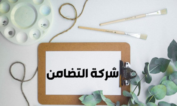 شركة التضامن